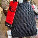 Coach Authentic  Pebbled leather L.Edition Mickey Mouse small backpack/Crossbody Photo 8