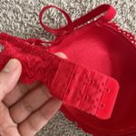 Daisy Fuentes volume up bra. 36C Photo 3