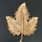 Trifari Vintage Signed Brushed Gold Tone Maple Leaf Brooch 24g. Photo 1