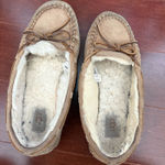 UGG  Slippers Photo 0