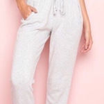 Brandy Melville NEW fleece fitted sweatpants joggers vintage light gray Photo 0
