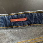 Pilcro Anthropologie  size 32 Denim ankle length jeans distressed blue Pants Photo 3