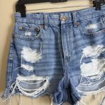 American Eagle Curvy ’90s Boyfriend Women’s High-Waist Denim Shorts Size 4 Photo 3