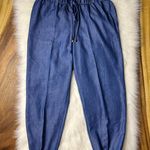 Robert Louis Denim Color Jogger Pants, Size Small Photo 4