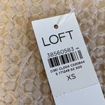 Loft NWT  Beach cream Floral Crop Top Line Cotton Smocked size XS Photo 2