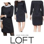 Loft Ann Taylor Classic Grey Blue Leopard Knit Sweater Tunic Dress Petite Large Photo 1