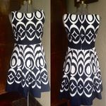 The Limited Summer Dress Classy Ikat Fit and Flare Dress Photo 1