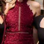 Bardot Burgundy Halter Lace Sheath Dress Photo 3