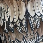 Love Culture Body Icon Dress Photo 3