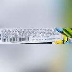 ZARA NWT  Floral Bodysuit - Medium Photo 3