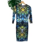 Topshop  Jewel Tone Snake Print Long Sleeve Midi Dress Photo 5