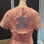 Women’s Pale Pink Lace Appliqué Short Sleeved Dress Size NWT Size L Photo 6