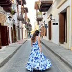 Terani Couture Glamour by Terani size 2 Couture Sleeveless V-Neck Floral Print Ball Gown dress Photo 3