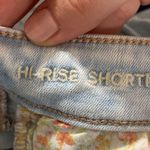 American Eagle next level stretch distressed hi-rise denim shorties size 2 Photo 10