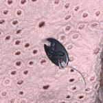 American Eagle  Soft & Sexy Crop Top Photo 4