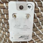 ALEX AND ANI Stud Earrings Jewelry Precious Stone Providence Collection NWT Photo 1