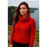 Banana Republic Italian Yarn Red Wool Alpaca Turtleneck Sweater Quiet Luxury Photo 1