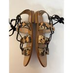 Club Monaco Thiais Tan Black Snakeskin Leather Lace Tie Sandals Sz 8 Wo… Photo 5