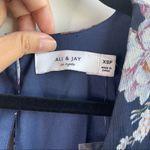 Anthropologie blue floral ali Ro Chiffon long sleeve jumpsuit size XS Petite Photo 4