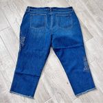 Loft NWT Ann Taylor Boyfriend Raw Hem Floral Embroidered Jeans 26 (Plus) Photo 3