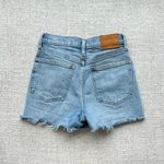 Aritzia  Denim Forum Shorts Photo 1