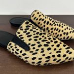 Jenni Kayne Mules Womens 37/ US 7 Pony Hair Cheetah Print Pointed Toe Shoes Photo 2