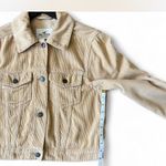 Hollister  Beige Knit‎ Sweater Photo 1