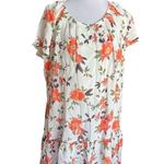 Matilda Jane NWT Womens Enchanted Garden Parker Floral Scoop Neck Swing Dress 2X Photo 2