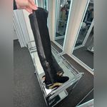 Alexandre Birman  Boots Photo 6