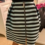 Top Shop Skirt Photo 2