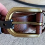 Patricia Nash  Vietri Leather Belt NWT Photo 3