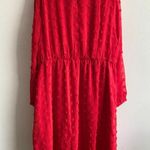 Chiffon Swiss Dot Empire Dress Plus Size Red Long Sheer Sleeve Elastic Waist 18W Photo 2