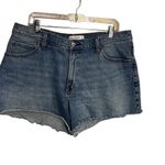Abercrombie & Fitch  Women's Curve Love 90s Denim Shorts Blue Size 33 US 16 Photo 1