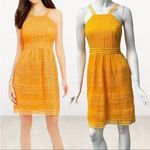 Tahari NWT  sleeveless lace dress 2 Photo 1