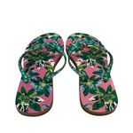 Vera Bradley ‎ Flip Flop Tropical Paradise Sandals Size 5-6 Photo 3