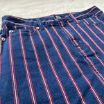 American Eagle Outfitters Festival Skirt Photo 1