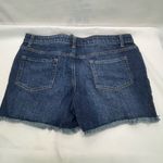 Cat & Jack Women's Distressed‎ Denim Shorts Dark wash XXL 18 PLUS New w/tags Blue Size undefined Photo 4