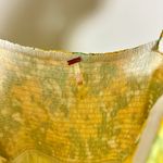 Free People  Sundrenched Floral Tiered Maxi Sundress in Butter Combo Size Medium Photo 5