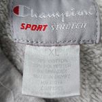 Champion Sweatshirt Vintage Jr XL Notre Dame Fighting Irish Hoodie Gray Academia Photo 4