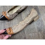 AGL Attilio Giusti Leombrun Black Brown Snake Skin Point Toe Flats Shoes Size 37 Photo 3