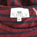 Anthropologie KINLY Directional Stripe Mini Dress M Drop Waist Flounce Hem Long Sleeve Shift Photo 3