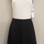 London Times NWT  black & white mesh dress. Sz 4 Photo 0