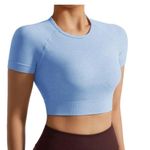 Gym Exercise Sky Blue Cropped Short Sleeve Stretchy Athletic Top Medium Photo 1