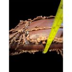 Sabrina Scala Boho Chic Brown Fringe Leather Tote Bag Large Casual Photo 9