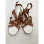 Cole Haan Sandals Size 11 B Brown Strappy Ankle Strap Buckle Open Toe Chic Photo 1