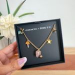 Coach NWT X Observed By Us Strawberry Heart Charm Necklace Photo 2