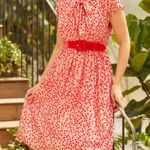 Modcloth Viral  Confetti Confection Fit and Flare Dress 4 NWT Photo 1