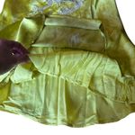 Urban Outfitters Bird Song Satin Mini Dress Dragon Embroidered Sequins 90s Large Photo 8