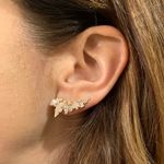 Kendra Scott Earrings Photo 0