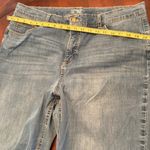 Terra & Sky 20w  Photo 3